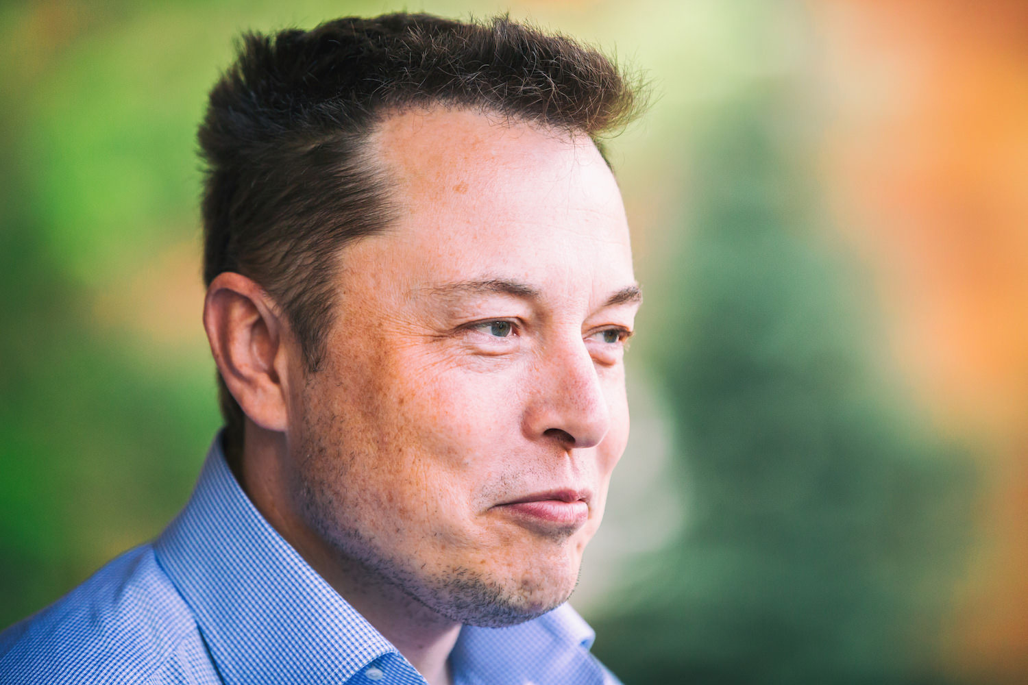 Elon Musk's Best Self Reflective Quotes
